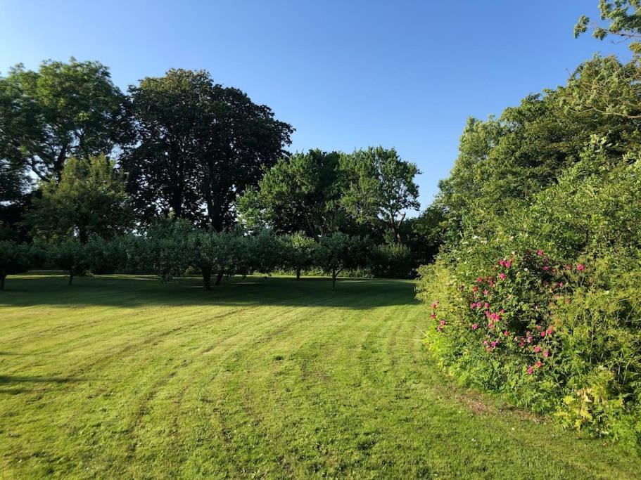 Rødby Cottage With Big Garden On Danish Countryside المظهر الخارجي الصورة