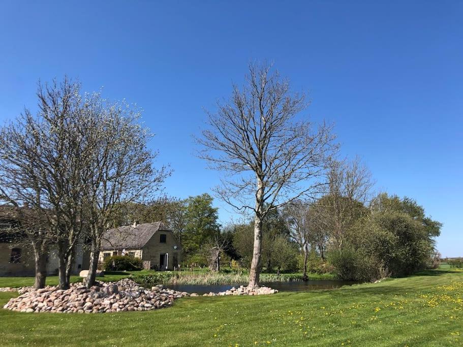 Rødby Cottage With Big Garden On Danish Countryside المظهر الخارجي الصورة